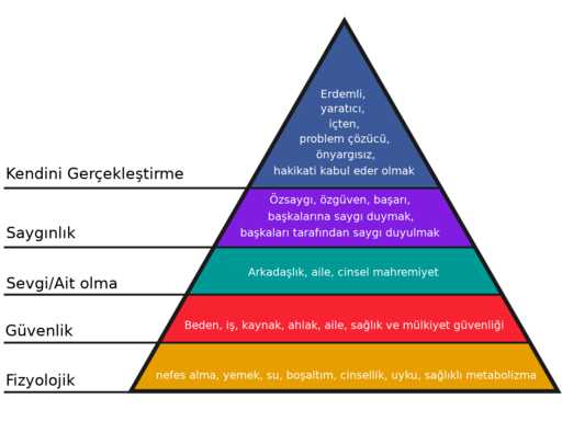 Maslow’un İhtiyaçlar Hiyerarşisi: İnsan Motivasyonunu Anlamak İçin 5 Basamak