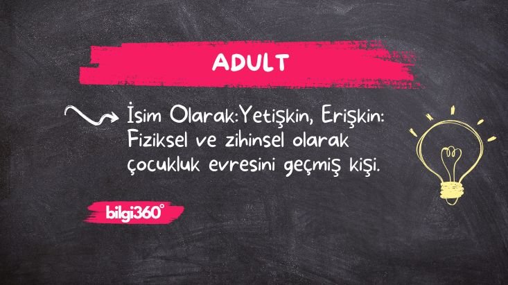 Adult: Anlamı ve Kullanımı